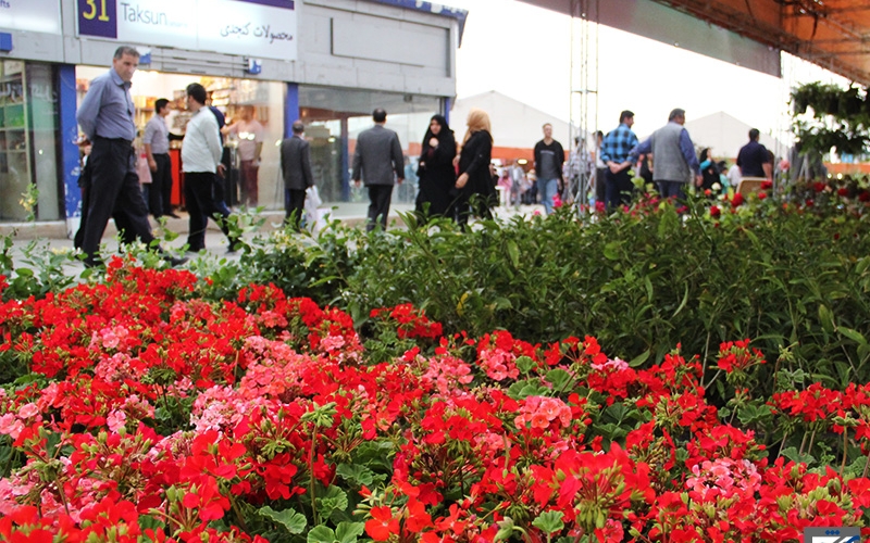 مردم در استقبال از نمایشگاه گل و گیاه، گل کاشتند
